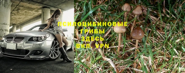 МДПВ Арсеньев