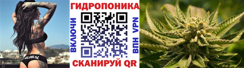 Канабис индика  где найти   Рыбное 